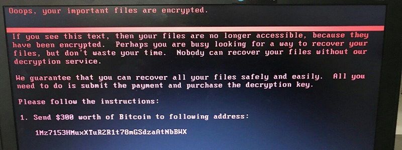 В Украину пришел вирус Bad Rabbit: все, что известно о новой кибератаке