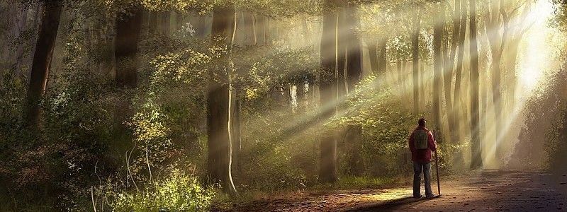 Пропавший в Киеве мужчина нашелся в Закарпатье