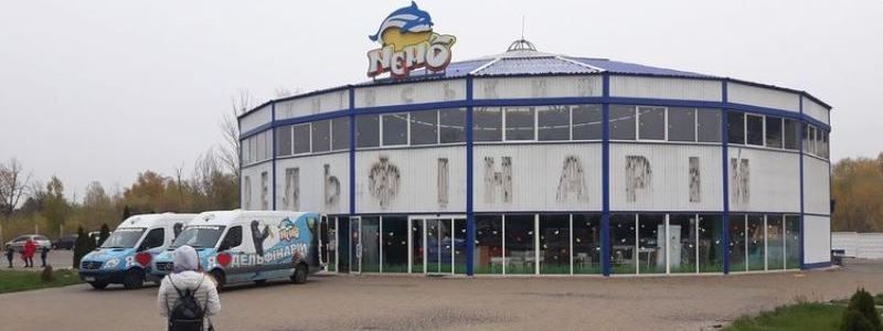 Закрыли дельфинарий «Немо»: что произошло с животными