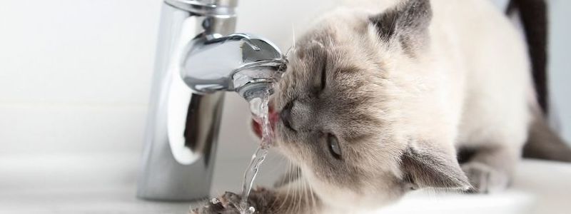 В Киеве на время отключат воду: узнай, где