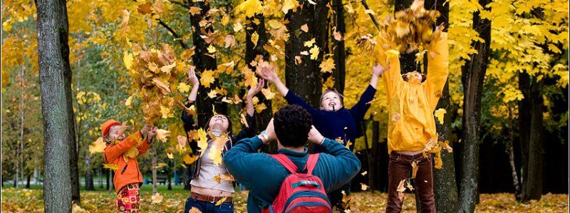 Каникулы у школьников Киева: когда начнутся и в каких случаях будут дополнительные выходные