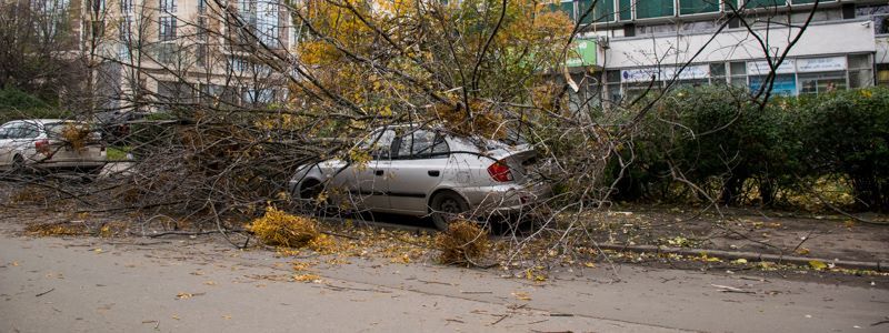Последствия ветра в Киеве: разбитое авто, оборванные провода и разрушенный забор