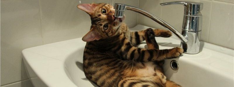 В Киеве на 2 дня отключат воду: узнай, где