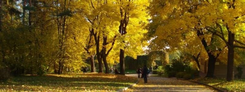 В Ботсаду Киева более 70 лет находился неразорвавшийся снаряд