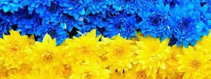 9 ноября: какой сегодня праздник