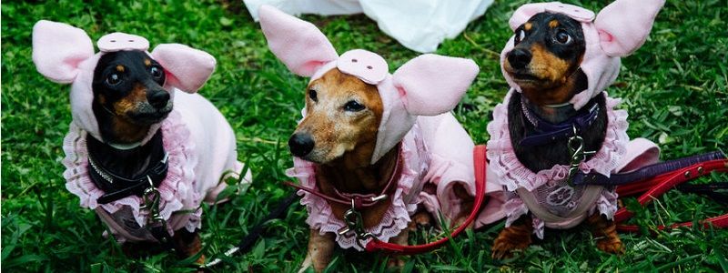 12 ноября: куда пойти сегодня