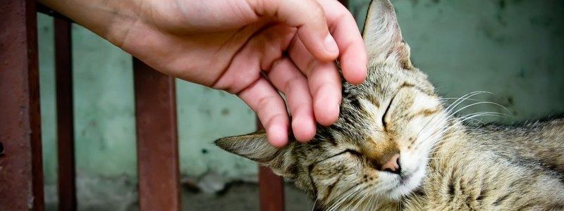 13 ноября: какой сегодня праздник