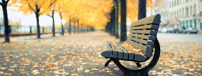 В Киеве переименовали еще один сквер: узнай подробности