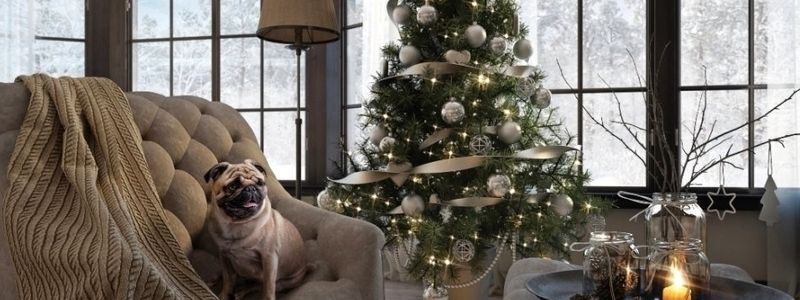 Сколько стоит аренда квартиры на Новый год в Киеве