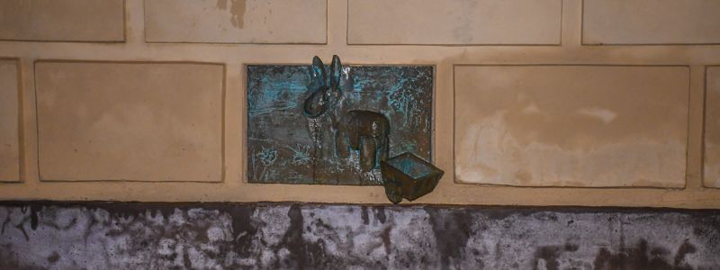 В Киеве появилась памятная доска ослу: узнай, где и зачем