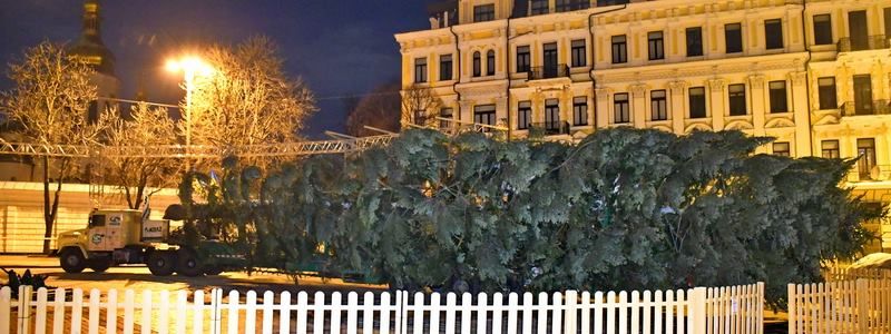 В Киев прибыла 100-летняя путешественница