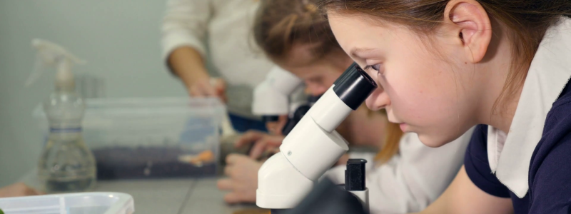 Удивительный мир под микроскопом: где в Киеве увидеть инфузорию-туфельку и пирамиды на Марсе