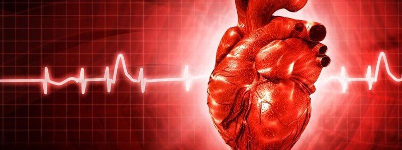 Получи ответ: как сохранить сердце здоровым