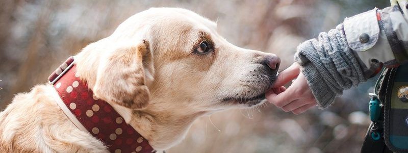 28 сентября: какой сегодня праздник