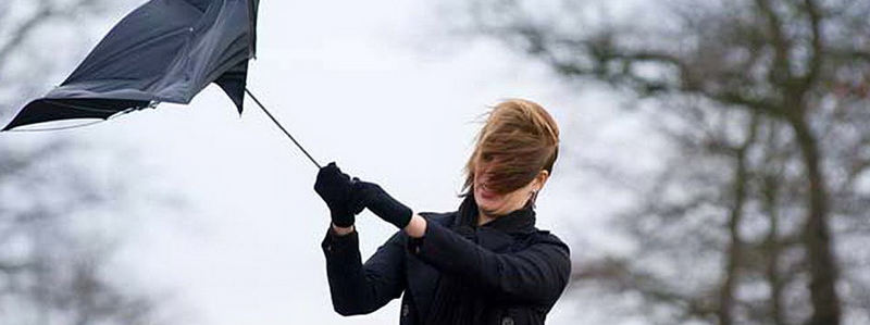 На Киев надвигаются сильный ветер и дождь