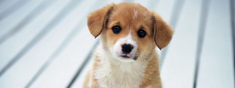 4 октября: какой сегодня праздник