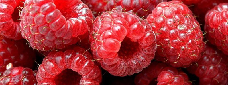 Медики рассказали, как малина помогает при простуде