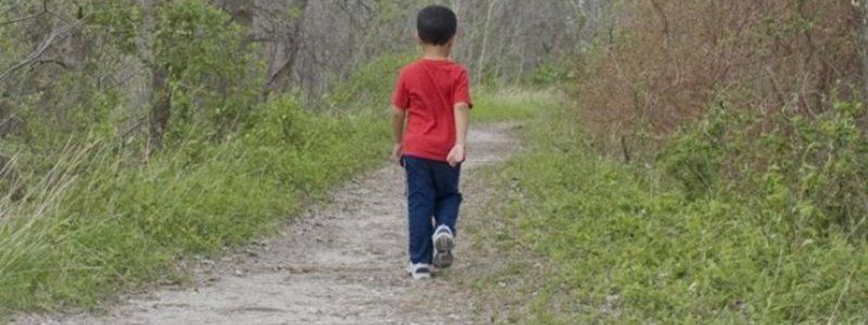 Под Киевом семья пошла в лес за грибами и потеряла ребенка