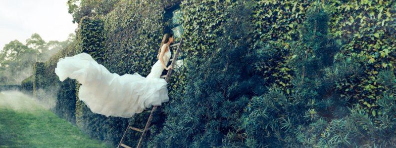 В Киеве в парке Шевченко люди в белом с шампанским и танцами будут собирать на благотворительность