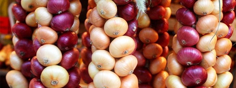 Может ли лук вылечить грипп и в чем польза этого овоща