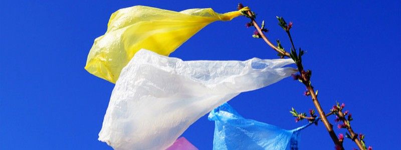 Жители Киева навсегда смогут расстаться со своими пакетами