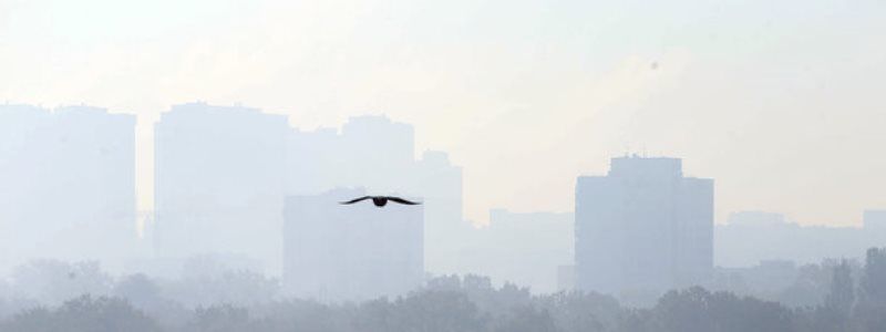 Погода на 4 ноября: в Киеве будет облачно