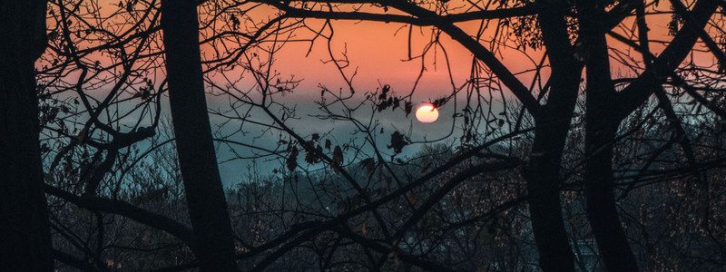 Дымчато-красная тайна: как Мариинский парк в Киеве просыпается на рассвете