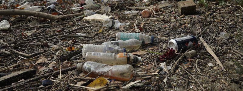 Какое слово стало главным в 2018 году и почему