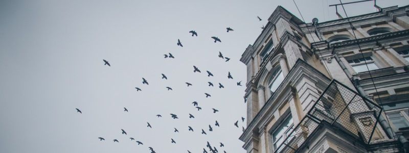 Меланхоличный Киев во мгле: ТОП фото в Instagram