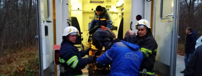 Под Киевом вблизи Чернобыля Renault сбил дикое животное и перевернулся