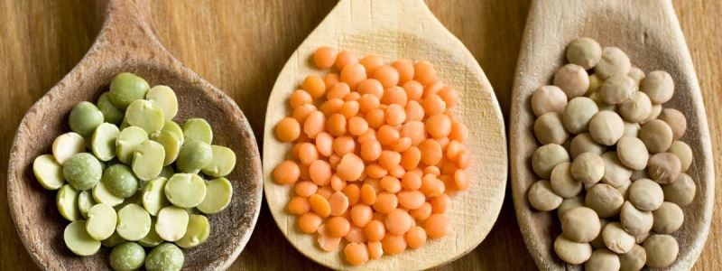 Чем питаться, чтобы избежать диабета и ожирения: советы эксперта