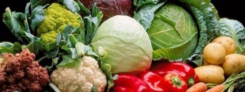 В Киеве пройдут сезонные ярмарки: где купить свежее молоко и овощи