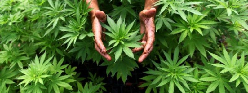 В Киеве группу наркодилеров задержали с "товаром" на два миллиона