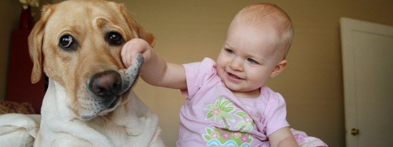 28 ноября: какой сегодня праздник