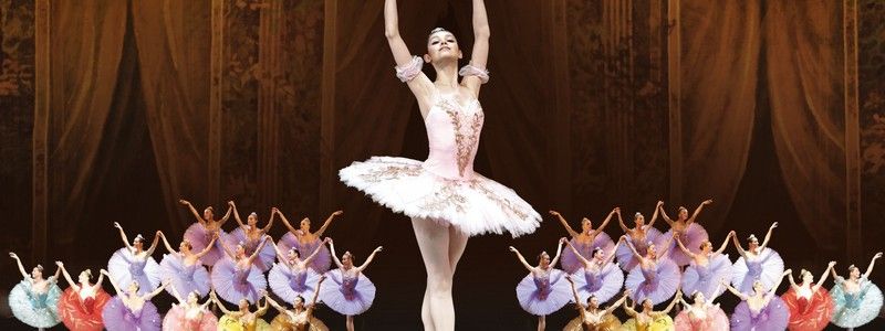 29 ноября: куда пойти сегодня
