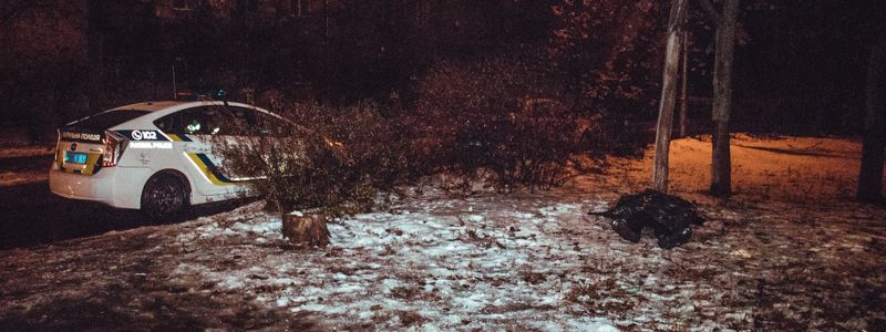 В Киеве на Харьковском шоссе под деревьями нашли труп мужчины