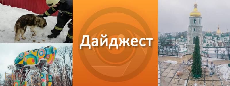 Красочный жираф, подготовка к Новому году и еще один повод для веселья в Киеве: ТОП хороших новостей недели