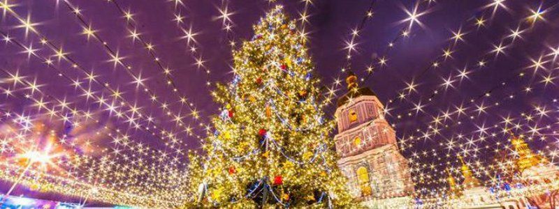 Где в Украине установили самую высокую и дорогую елку