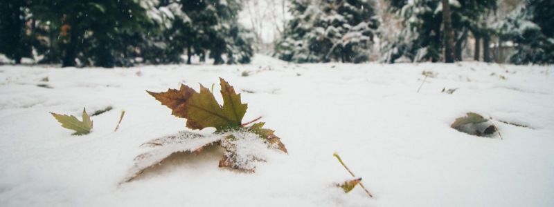 Погода на 17 декабря: в Киеве будет пасмурно