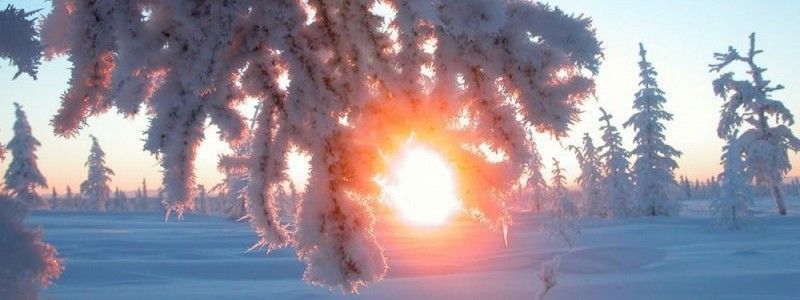 21 декабря: какой сегодня праздник