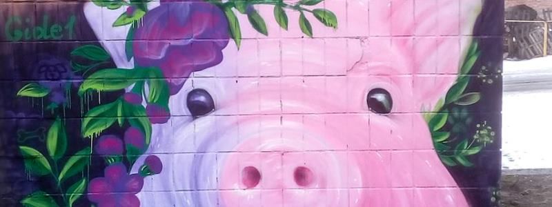 В Киеве рядом с тигром с разноцветными глазами поселилась хрюшка в цветах