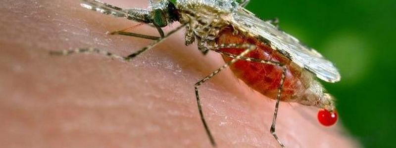 Смерть актрисы сериала "Друзья", складной смартфон от Apple и тропическая малярия во Львове: ТОП новостей дня