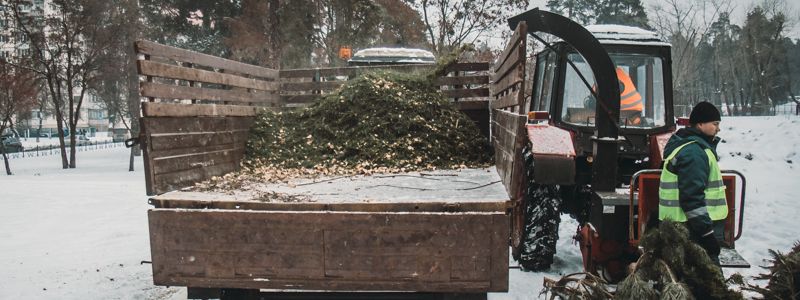 Как выглядят пункты переработки и куда сдавать елки в Киеве: адреса по районам