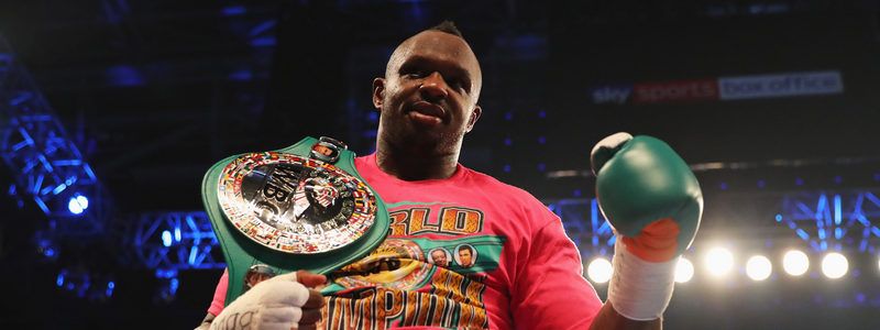 Уайт бросил вызов Кличко, перестрелка картелей в Мексике и тюленье нашествие в Канаде: ТОП новостей дня