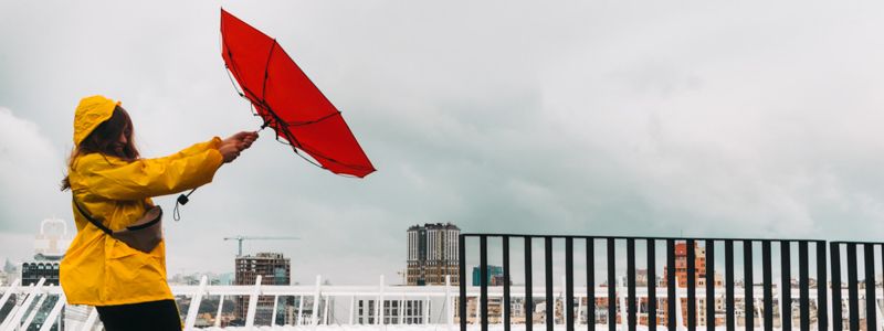 На Киев надвигается сильная метель и шквальный ветер: как пережить непогоду без травм