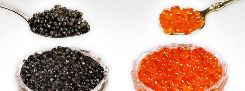 Чем стоит заменить черную икру в рационе жителей Украины