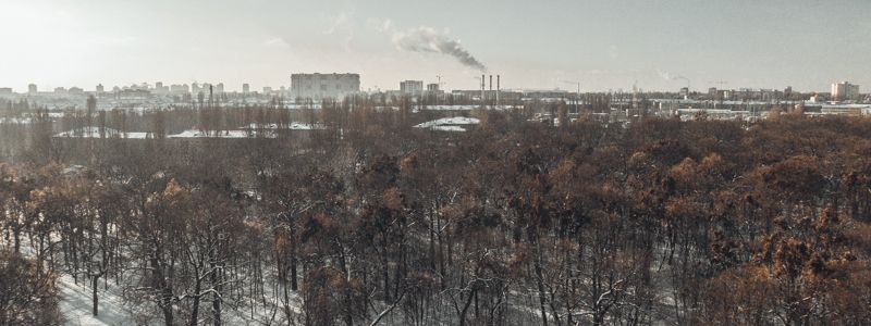 В "золоте" и снегу: как Сырецкий парк выглядит в разное время года