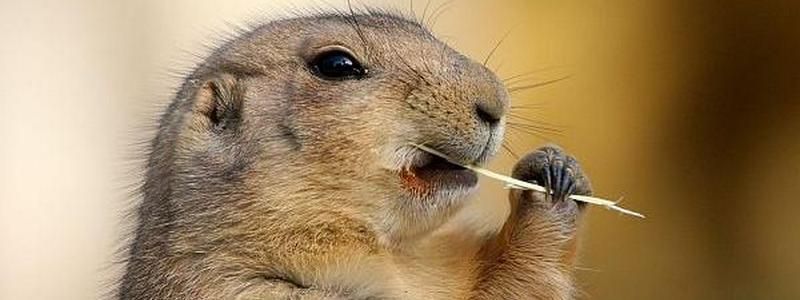 2 февраля: какой сегодня праздник