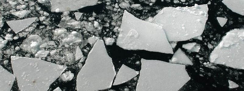 В Киеве на озере двое детей провалились под лед: видео момента происшествия