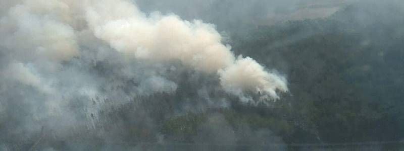 Пожар в Чернобыле охватил 5 гектаров леса